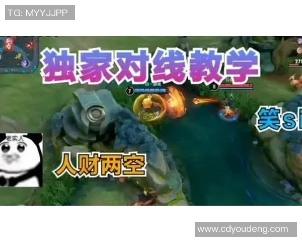 杨军独家分享王者荣耀游戏心得与技巧助你快速提升战斗水平