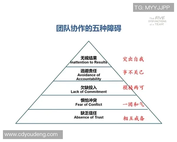 深圳排球队的团队协作与战术配合深度剖析与探讨 深圳排球队的团队协作与战术配合深度剖析与探讨