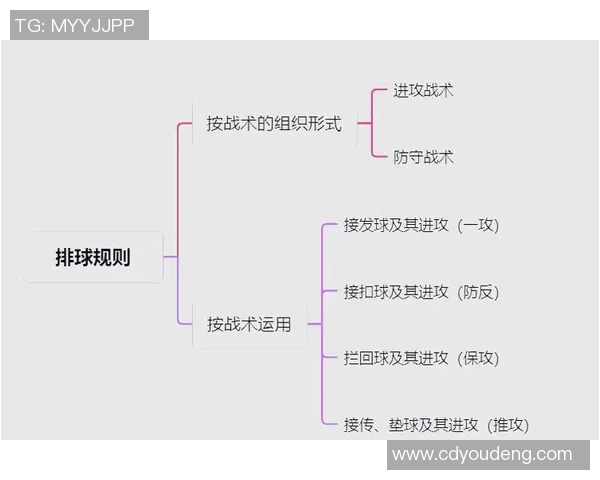 武汉排球队的运营揭秘与深度分析探索排球运动的未来发展之路 武汉排球队的运营揭秘与深度分析探索排球运动的未来发展之路